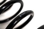 ICON 21-24 Raptor Triple Rate Overland Coil Spring Kit for off road parts and suspension lift kits.