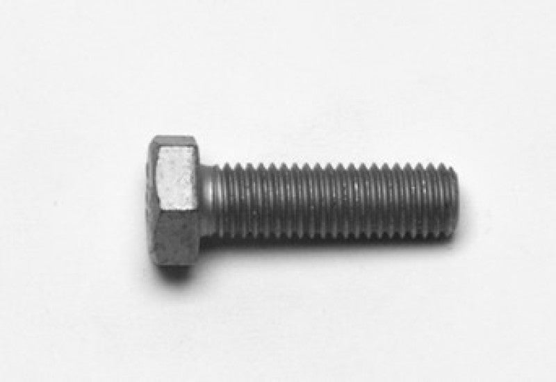 User 1 Main image