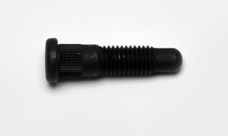User 1 Main image