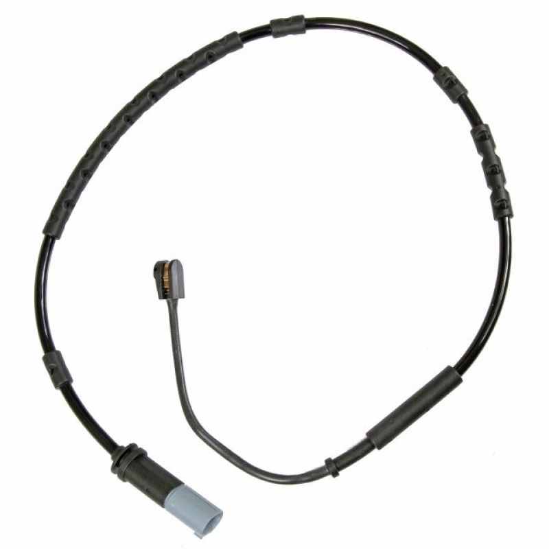 Photo - Primary Main image
