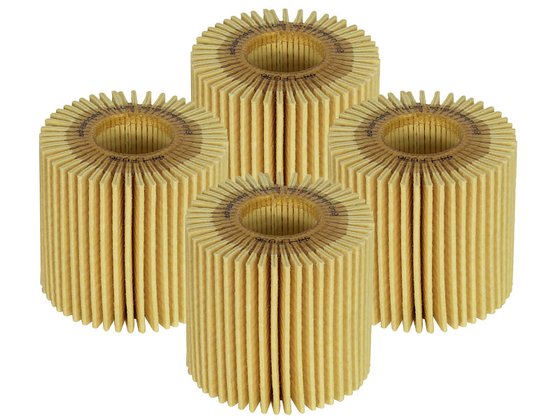 Photo - Primary Main image