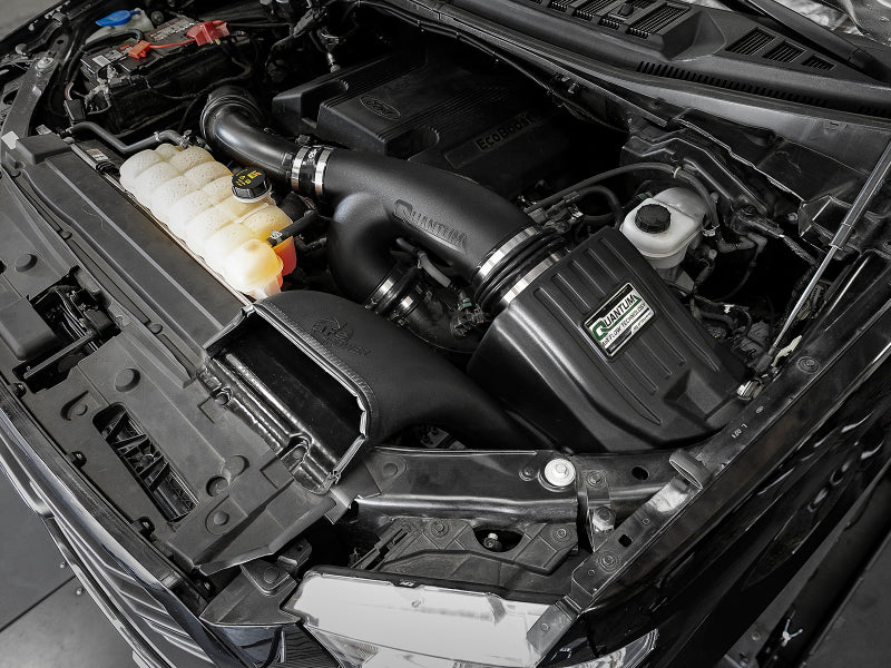 aFe Quantum Pro DRY S Cold Air Intake System 15-18 Ford F150 EcoBoost V6-3.5L/2.7L - Dry Secondary image