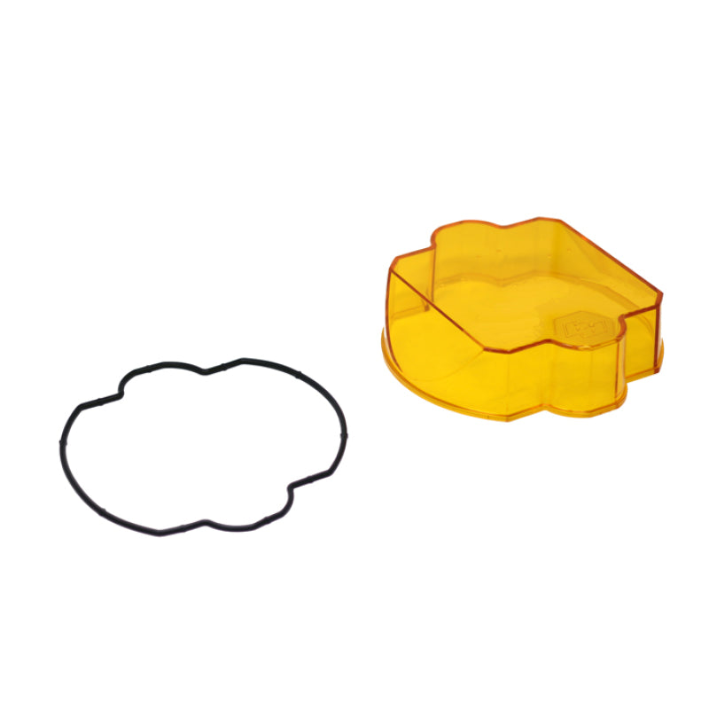 User 1 Main image