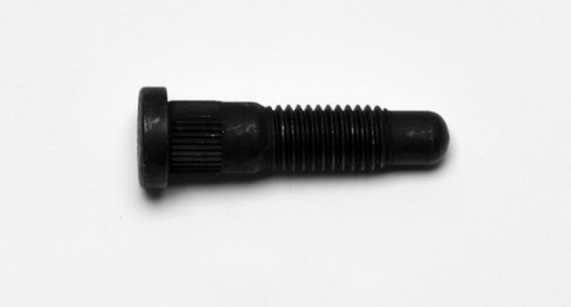 User 1 Main image