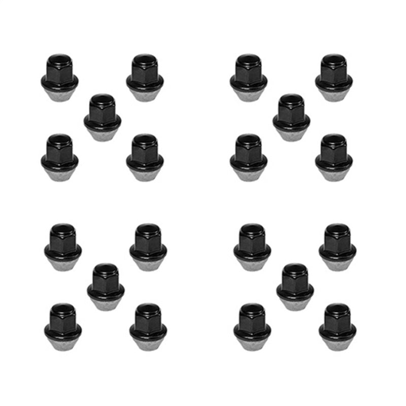 Ford Racing 15-18 Mustang Black Lug Nut Kit (20 Lug Nuts) Secondary image