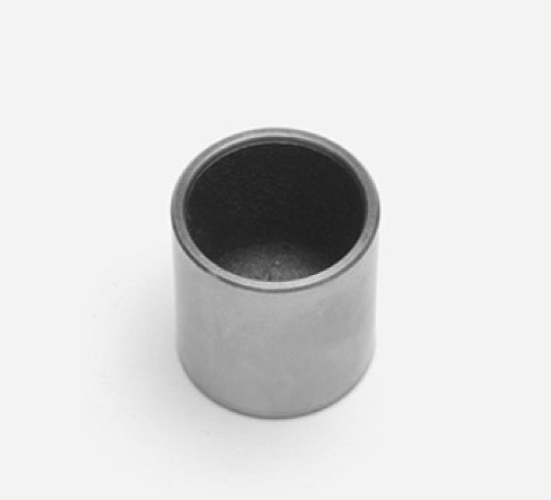 User 1 Main image