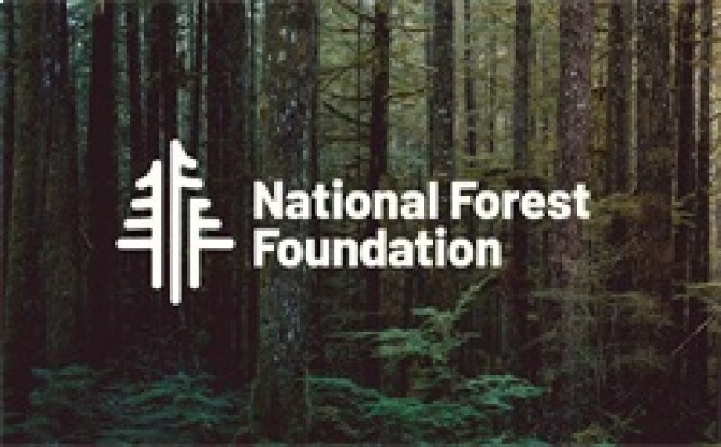 National Forest Foundation logo with forest background