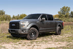 AMP Research 15-22 Ford F150 All Beds BedStep2 - Black on off road truck