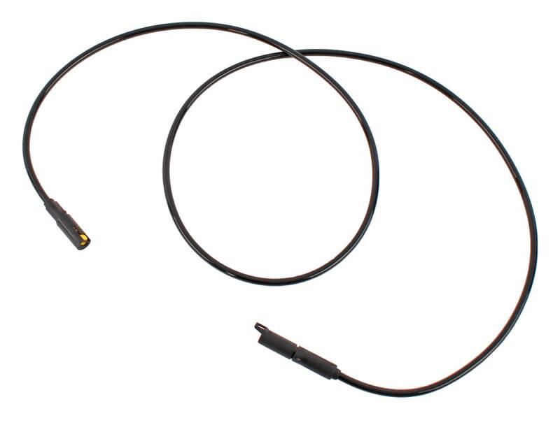 User 1 Main image