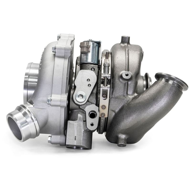 User 1 Main image