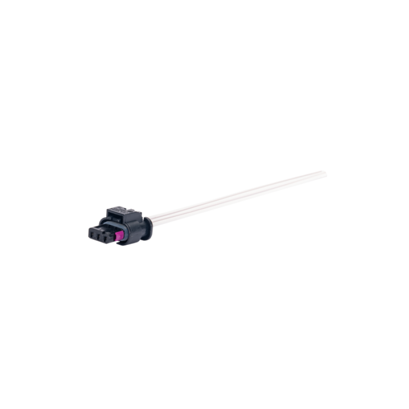 User 1 Main image