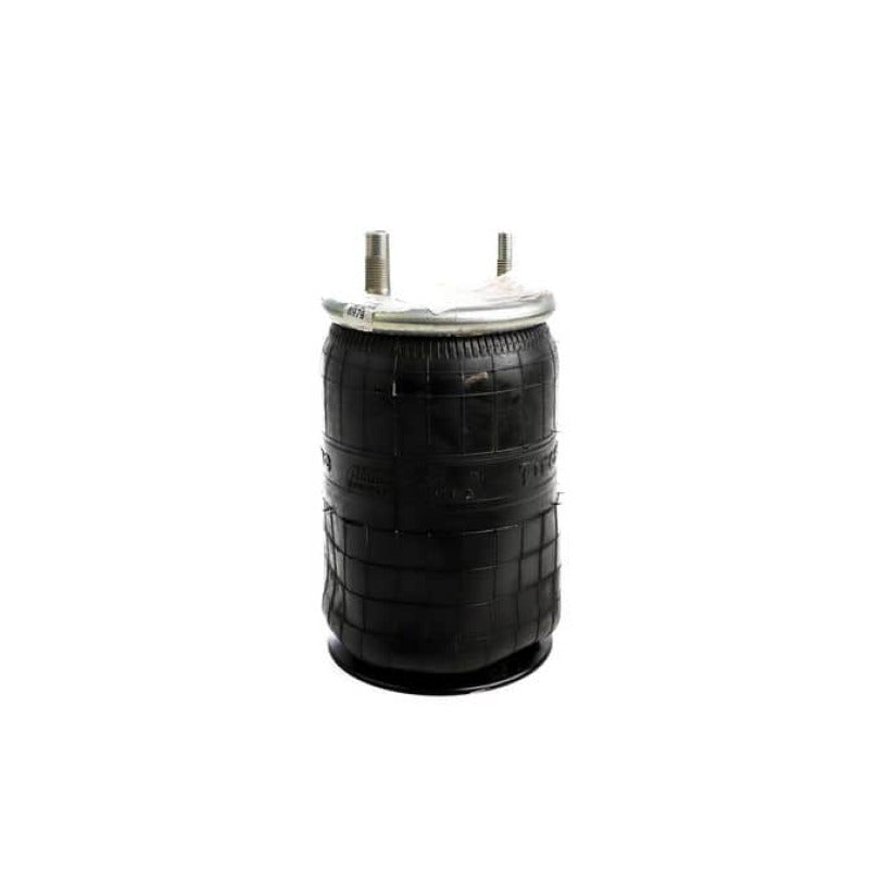 User 1 Main image