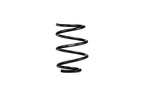 Eibach Cadillac CT5-V Blackwing - Special Edition Pro-Kit spring