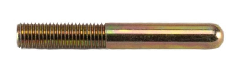 User 1 Main image