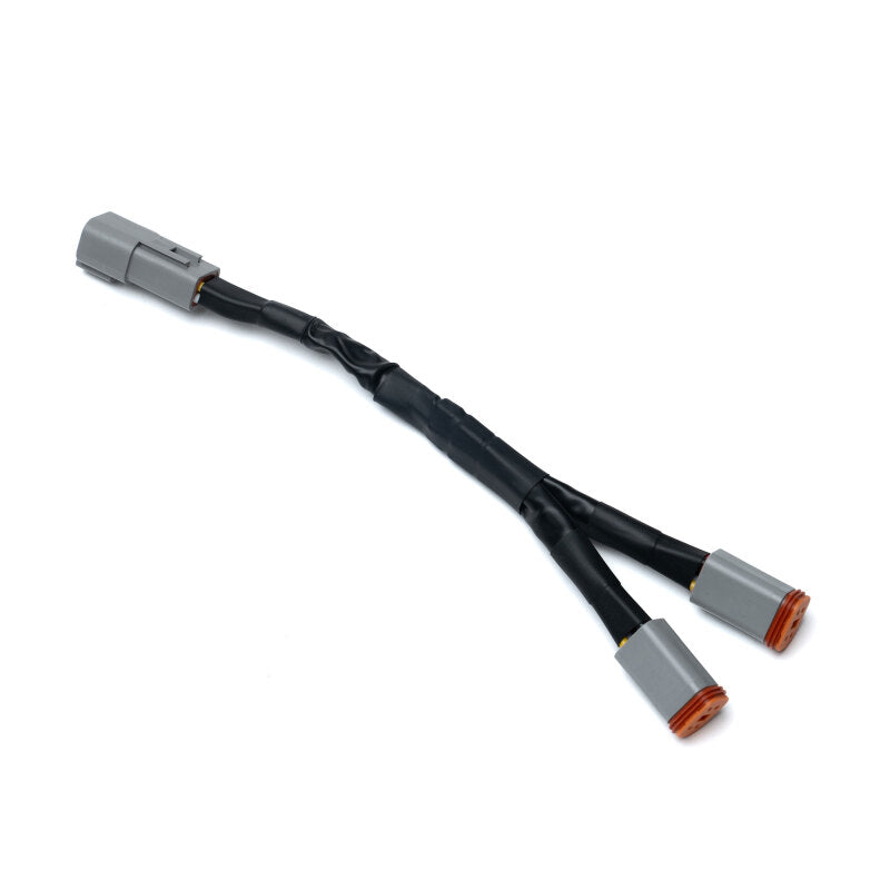 User 1 Main image